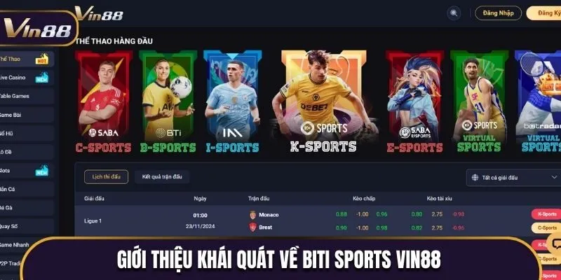 Giới thiệu khái quát về Biti Sports Vin88